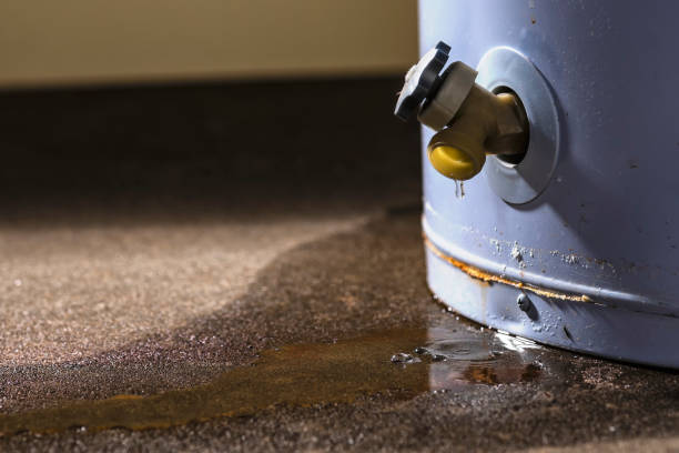 Best Water damage restoration specialists  in Anoka, MN