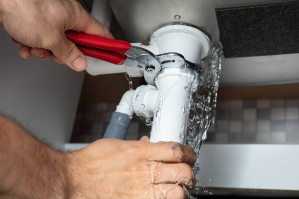 Best 24/7 water damage repair  in Anoka, MN