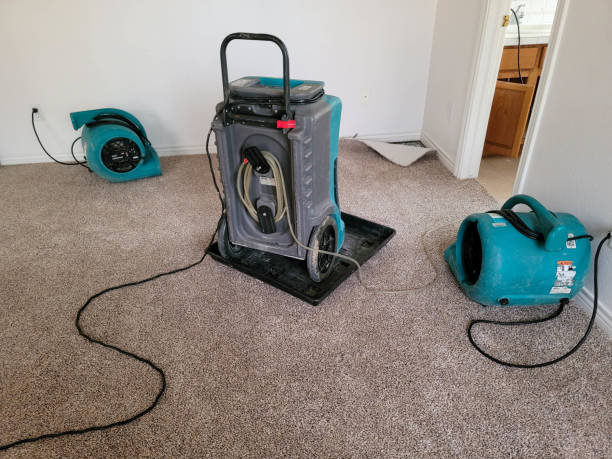 Best Water damage restoration insurance claims  in Anoka, MN