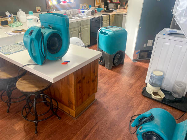Professional Water damage restoration in Anoka, MN
