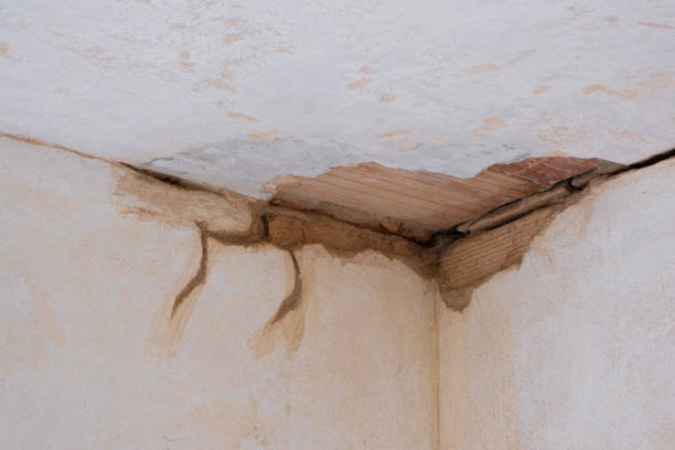 Best Water damage restoration company  in Anoka, MN