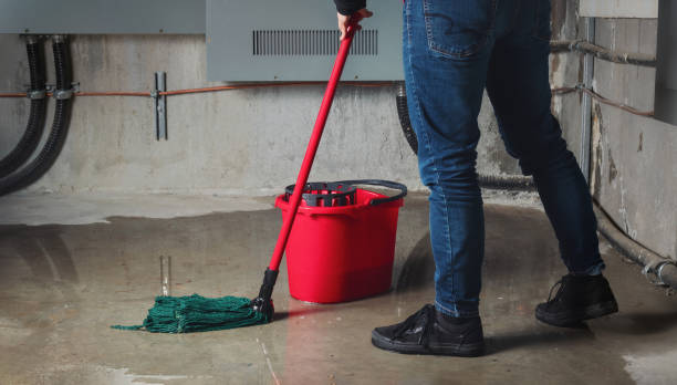 Best Basement water damage restoration  in Anoka, MN