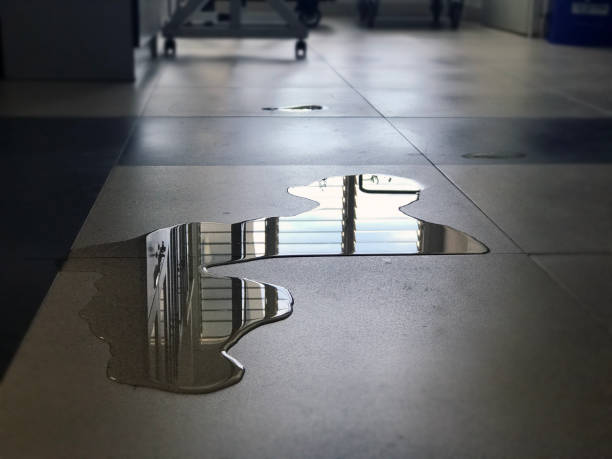Local water damage restoration in Anoka, MN