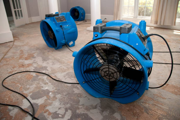 Best Water damage repair service  in Anoka, MN
