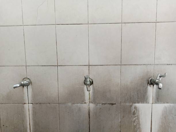 Best Water damage restoration experts  in Anoka, MN