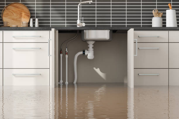 Best 24-hour water damage restoration  in Anoka, MN