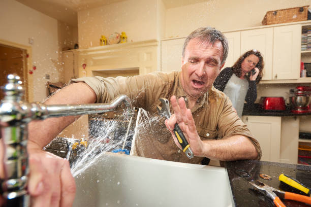 Best Water damage cleanup near me  in Anoka, MN